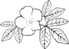 Prickly Wild Rose Coloring Page Clip Art